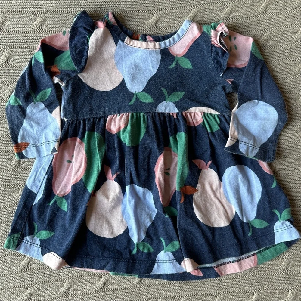 EUC Carter’s Baby Girl Outfit Set, Pink & Blue Pear, 9 Months